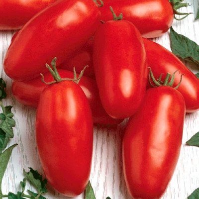 Томат Дамські пальчики (Елітсорт) 0.1 г