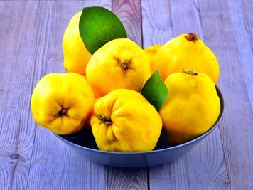 Дарунок онуку (середня)