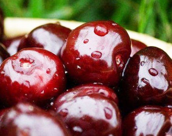 Чорнокорка(середня)